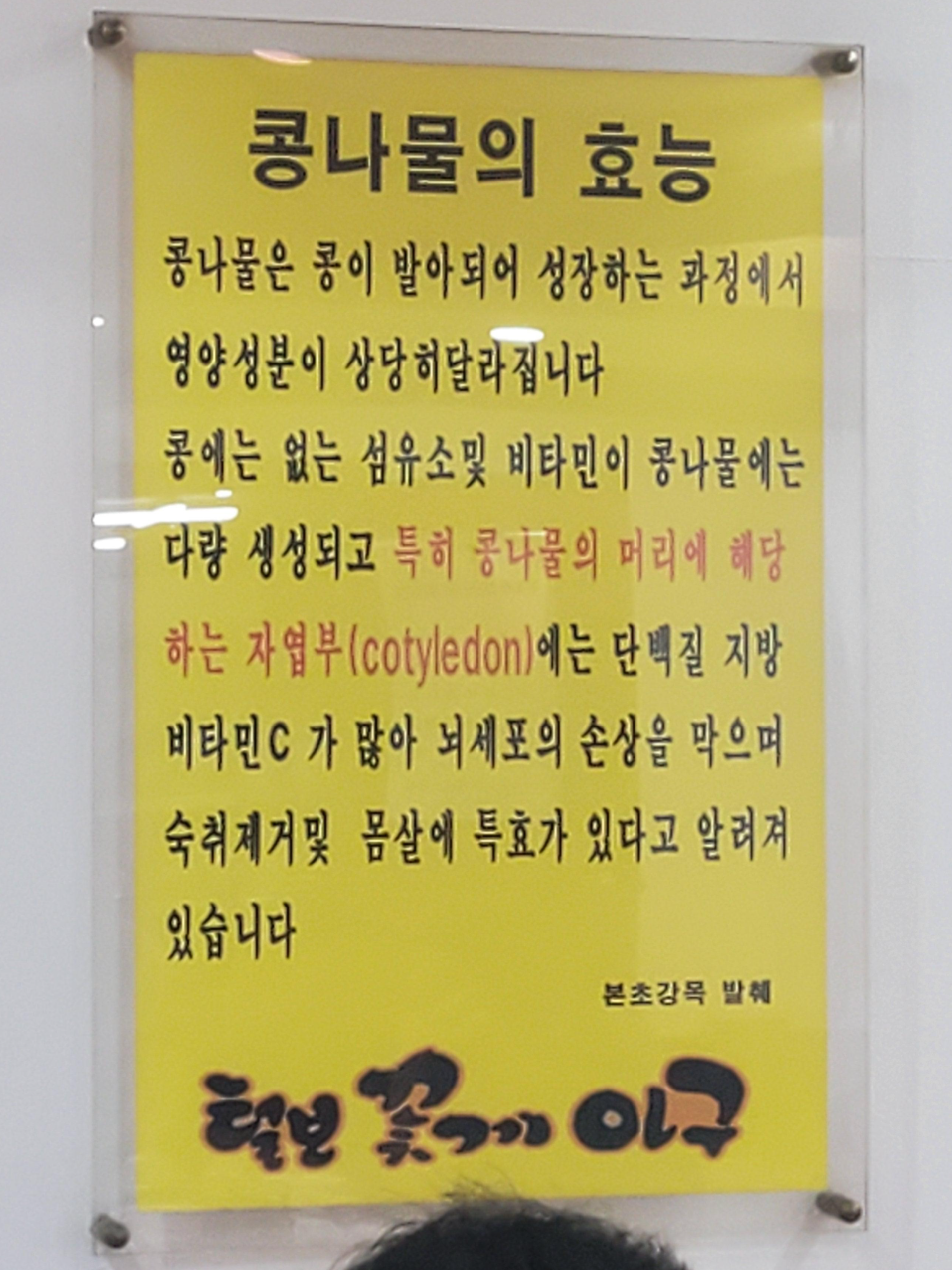 콩나물의효능