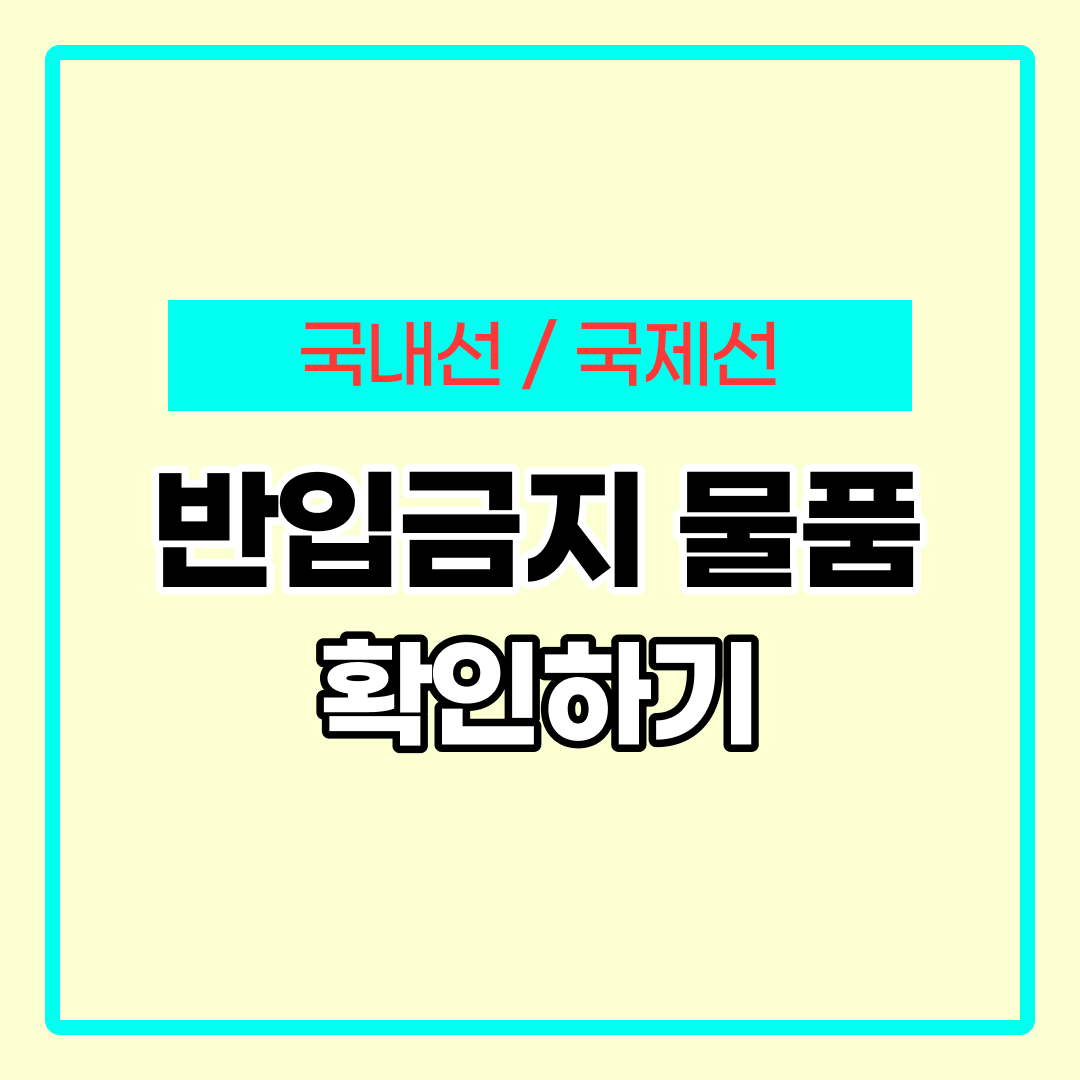 비행기 기내 반입 금지 물품