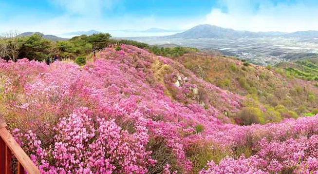 고려산