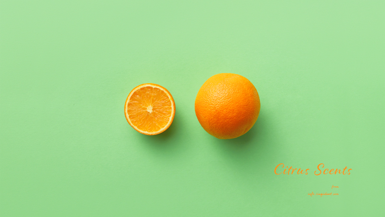 07 오렌지 연두색 배경 C - Citrus Scents 주황색배경화면