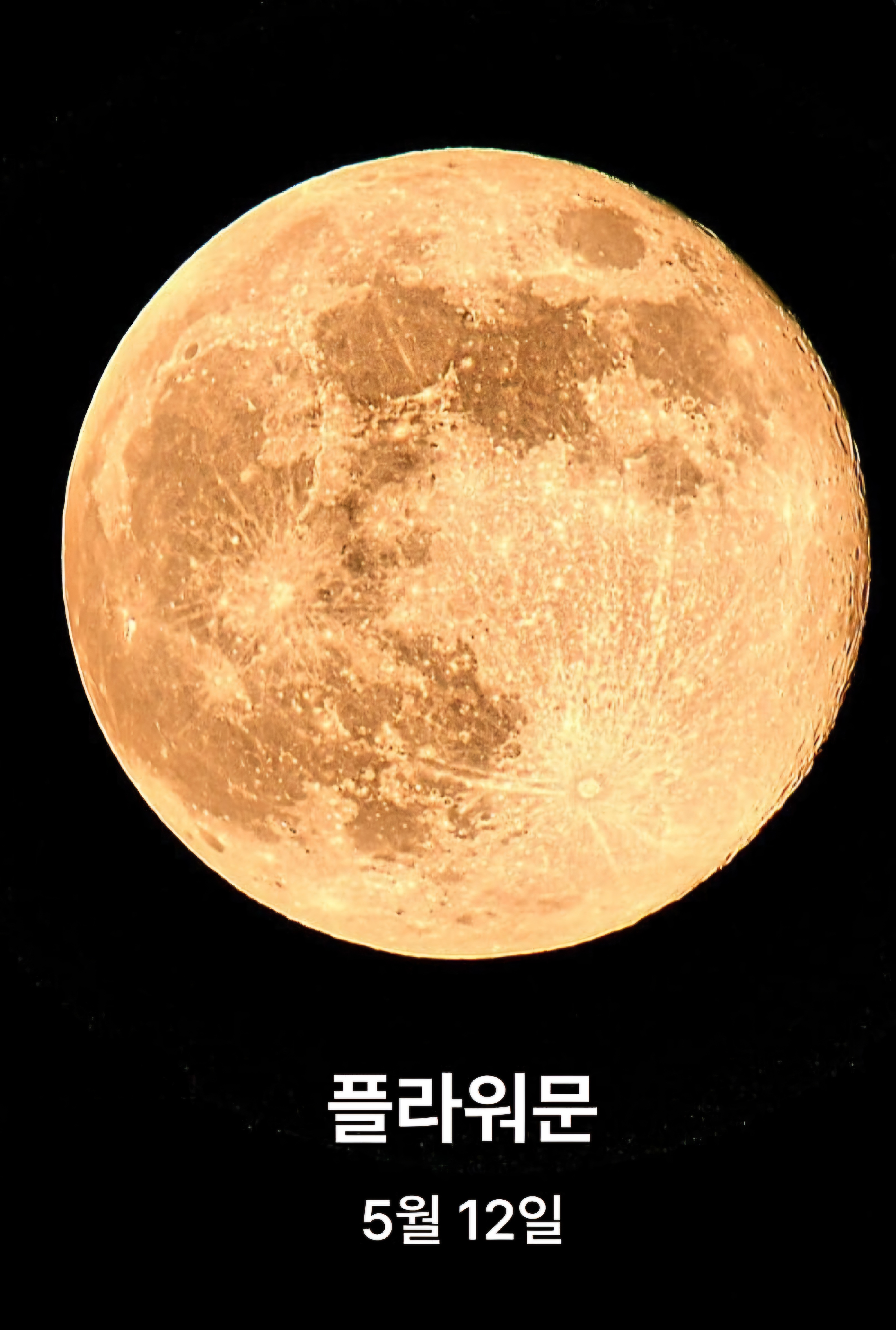 문플라워 이미지