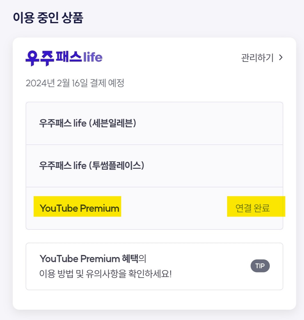 유튜브 프리미엄 연결완료