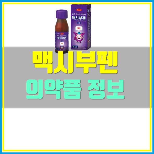  맥시부펜 시럽 가격 효능
