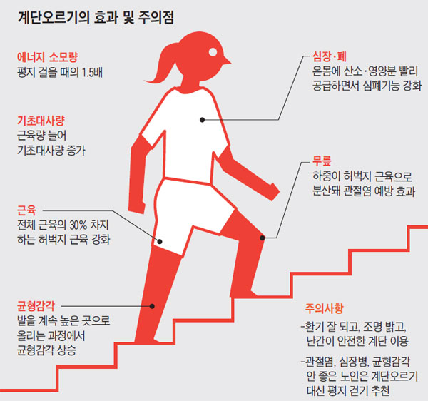  계단 오르기 효과