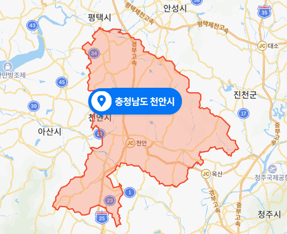  충남 천안시 시내버스 뺑소니 사건 (2020년 11월 19일)