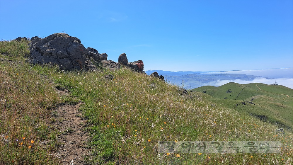 Monument Peak