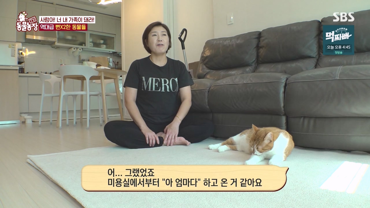 TV 동물농장.E1140.231009p-NEXT.mp4_20231008_174820.030.jpg