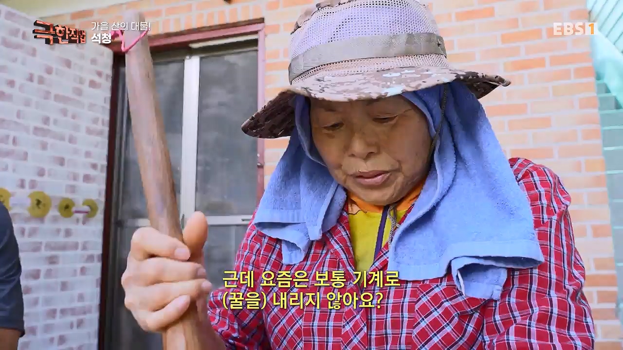 TV - 전 국민의 평생학교 EBS가을 산의 대물! 석청과 버섯.mp4_20230916_171649.005.jpg