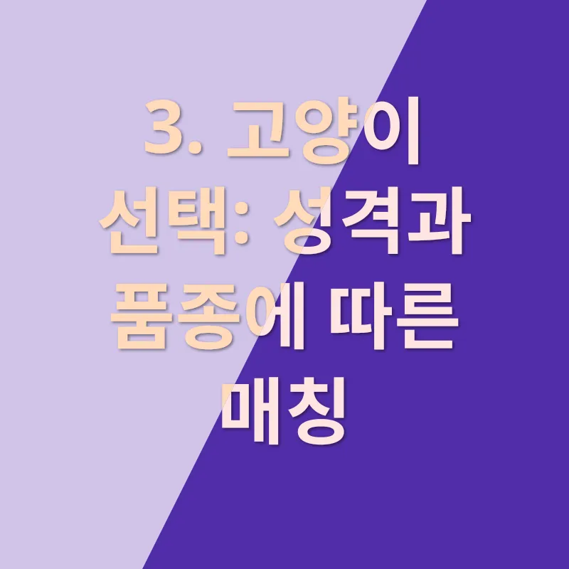 고양이 입양_3