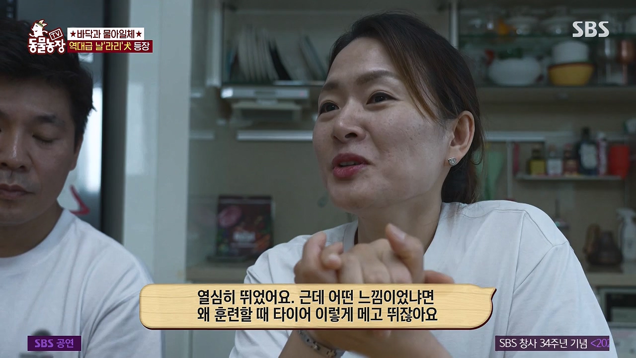 TV 동물농장.E1187.240902p-NEXT.mp4_20240901_155449.249.jpg