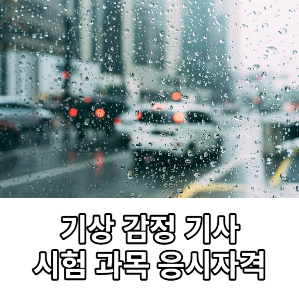 기상감정기사