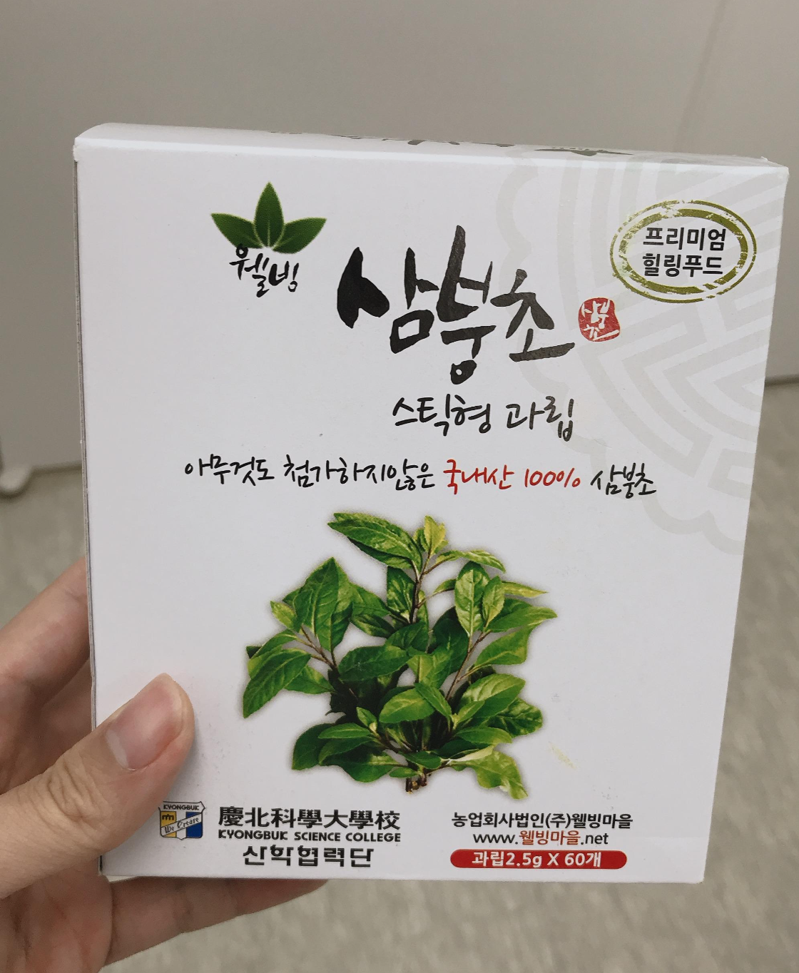  삼붕초 (명월초, 당뇨초) 효능과 먹는법