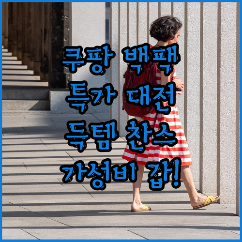 가성비 갑! 쿠팡 백팩 특가 대전! 