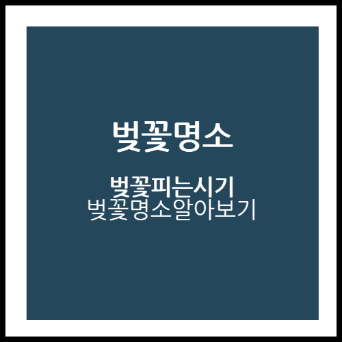 지역 별 벚꽃 피는 시기 전국 3대 벚꽃 명소 알아보기