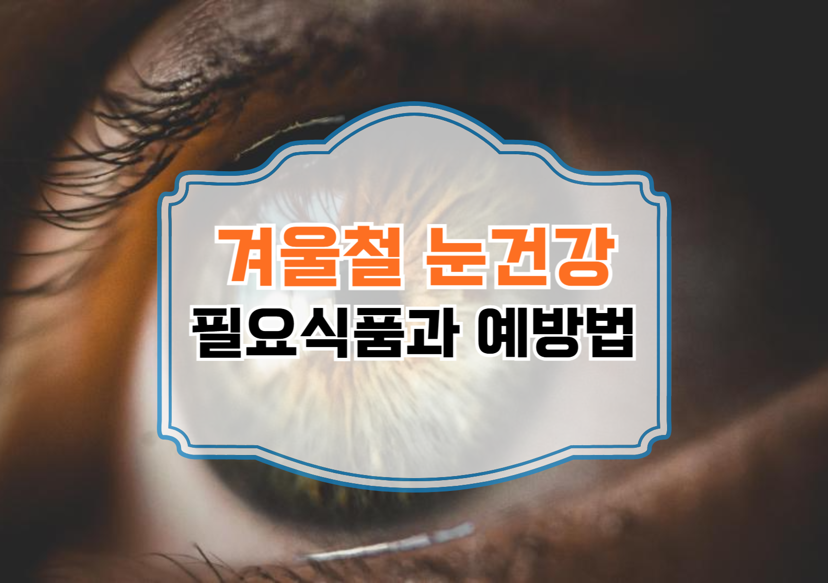 눈건강