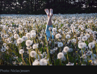 한여성이꽃밭에서휴식을취하는모습