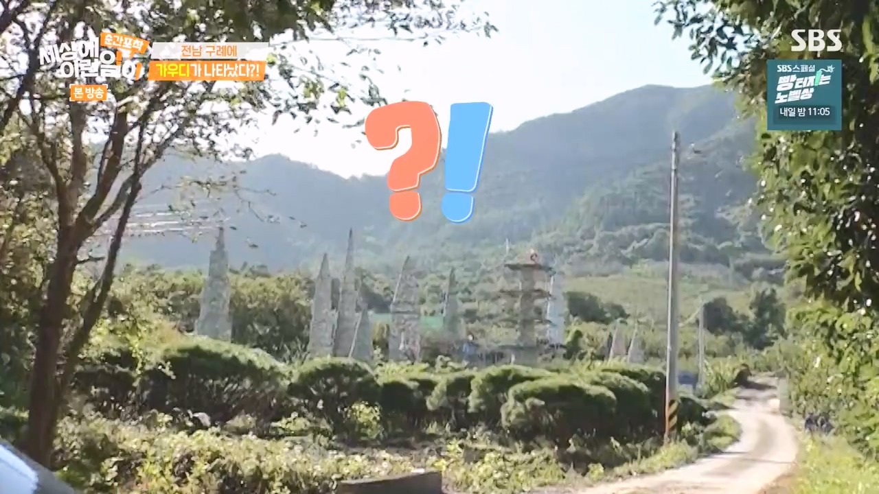 순간포착 세상에 이런일이.E1251.231105p-NEXT.mp4_20231105_172826.001.jpg