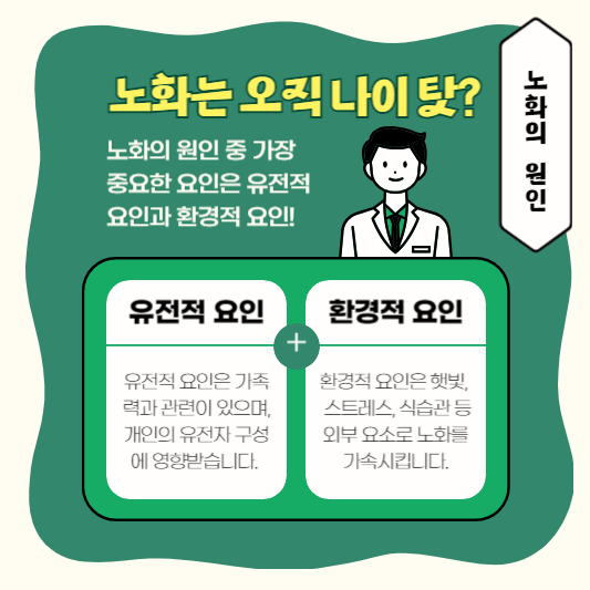 노화의 원인