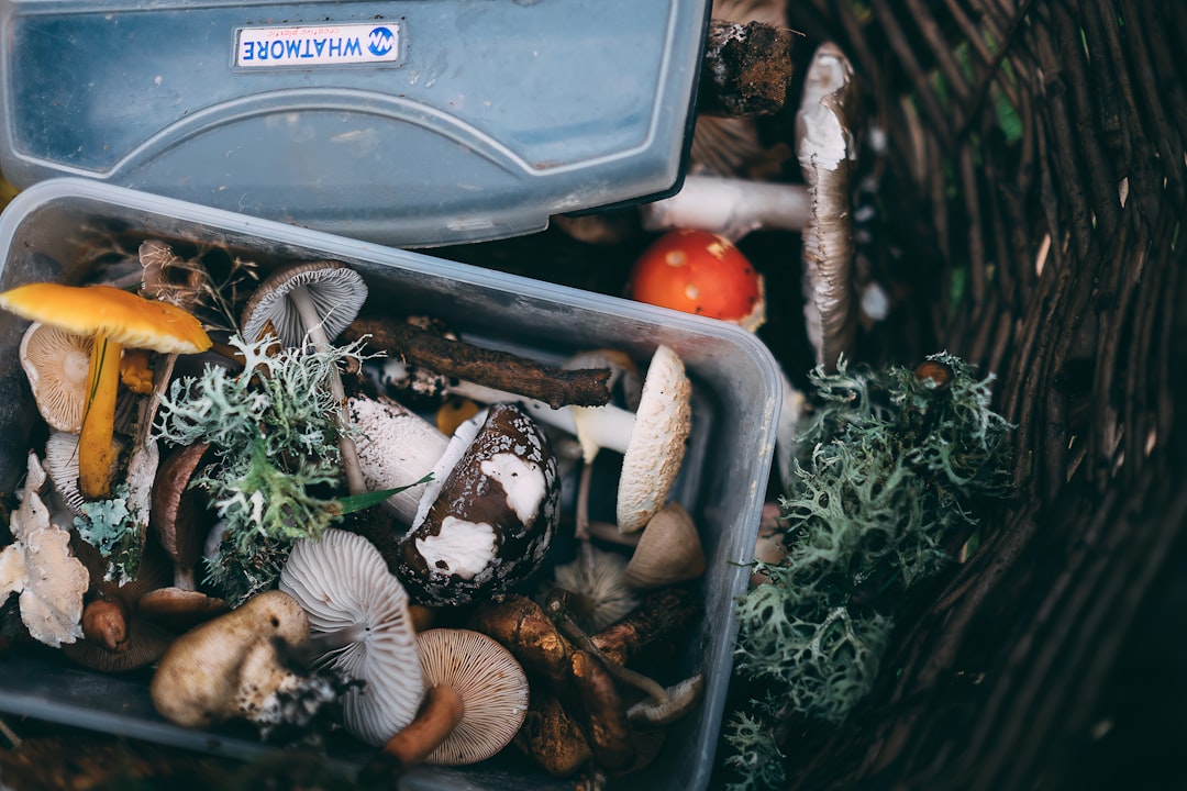 Foraging.