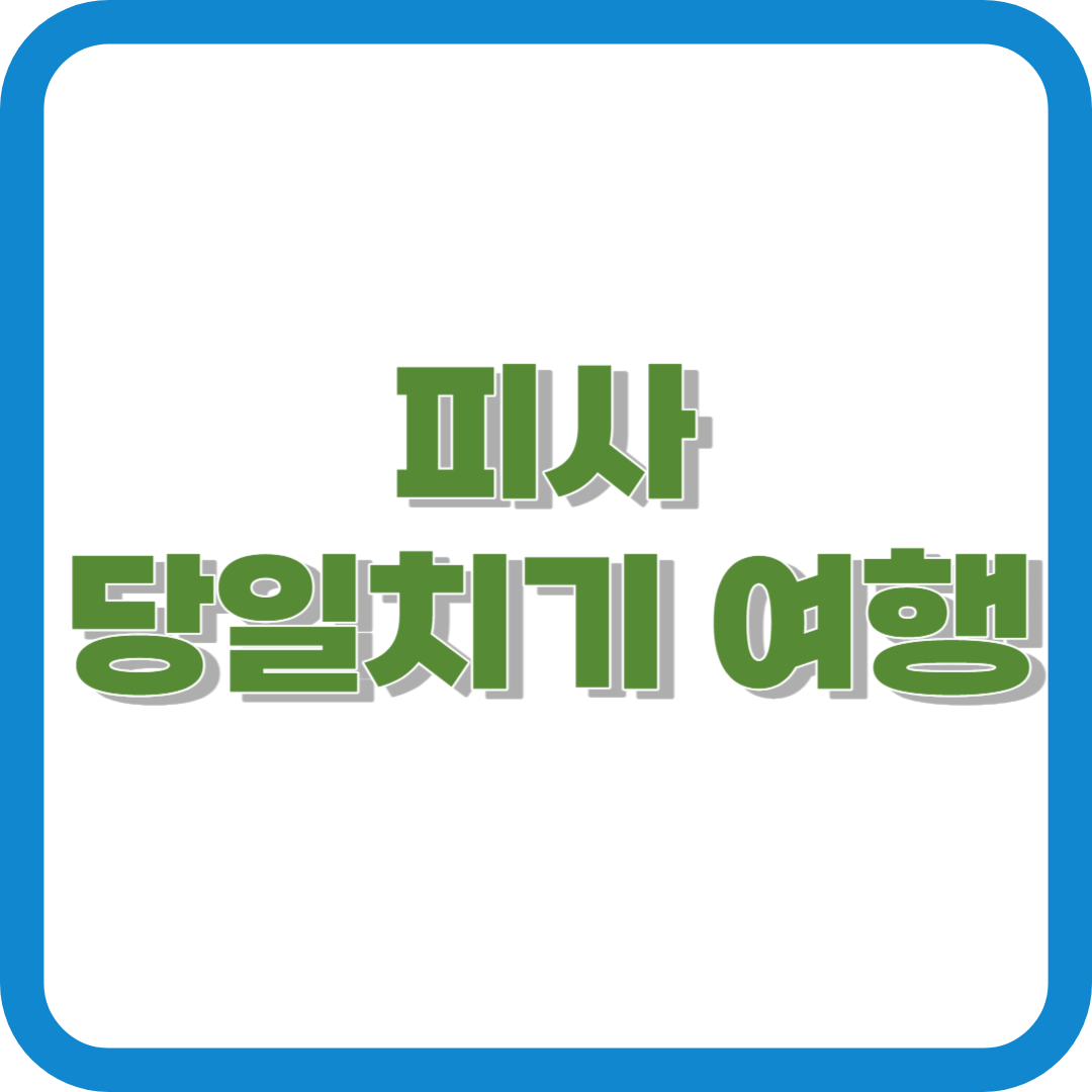 피사 당일치기 여행 사진