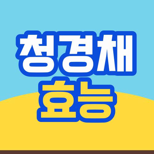청경채 효능