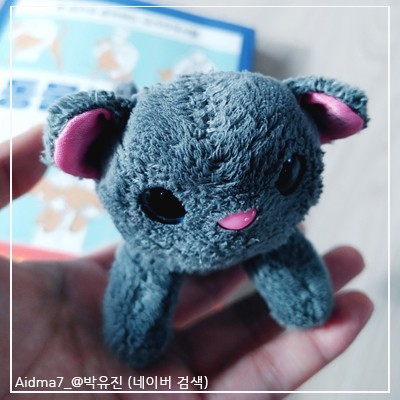  리드리드출판  한권으로 준비하는 동물보건사 국가자격시험 기초편 으로 반려견 알고 키우세요