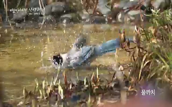 다큐 인사이트 - KBS인생정원 - 붉은 매화가 피면] 봄이면 가장 먼저, 그리고 가장 붉게 피어나는 강인한 소성의 매화.ts_20220818_203052.840.jpg