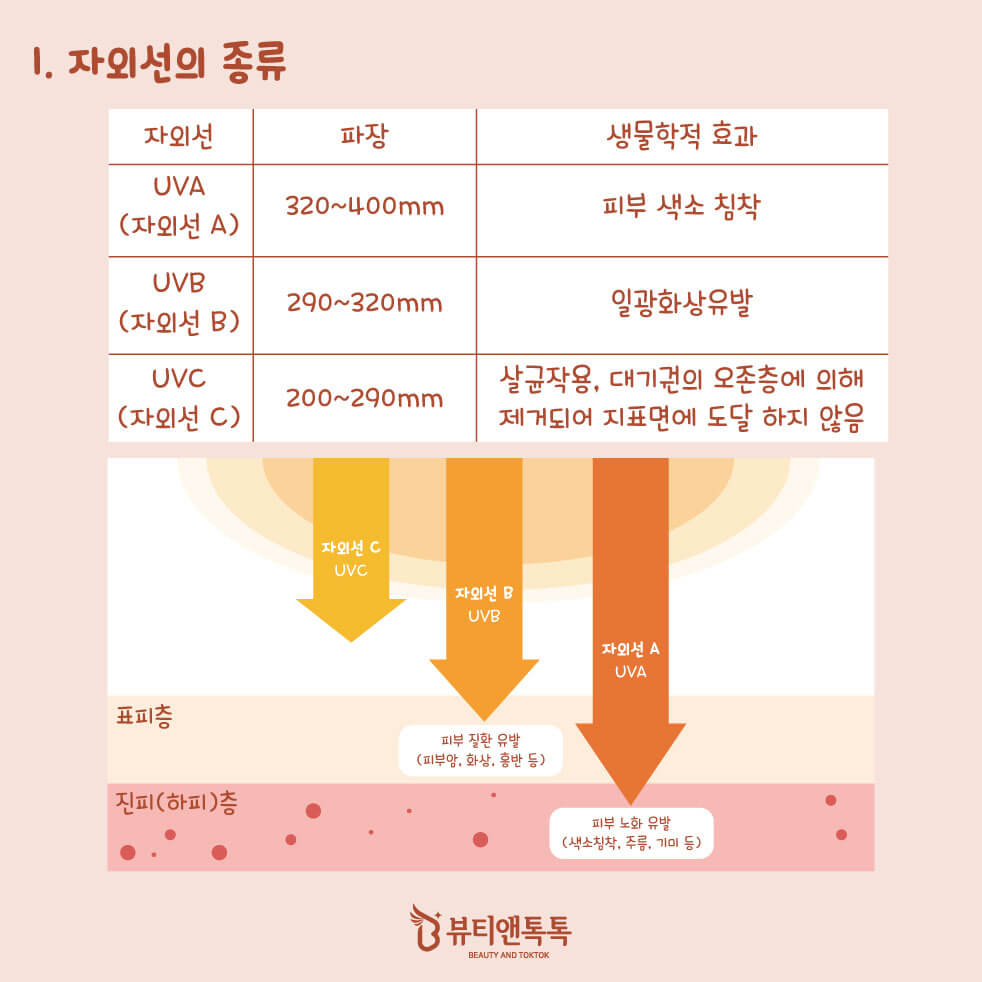 자외선의 종류