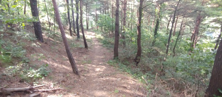 제진검문소 - 통일전망대 출입신고소 해파랑길 50코스 : 8