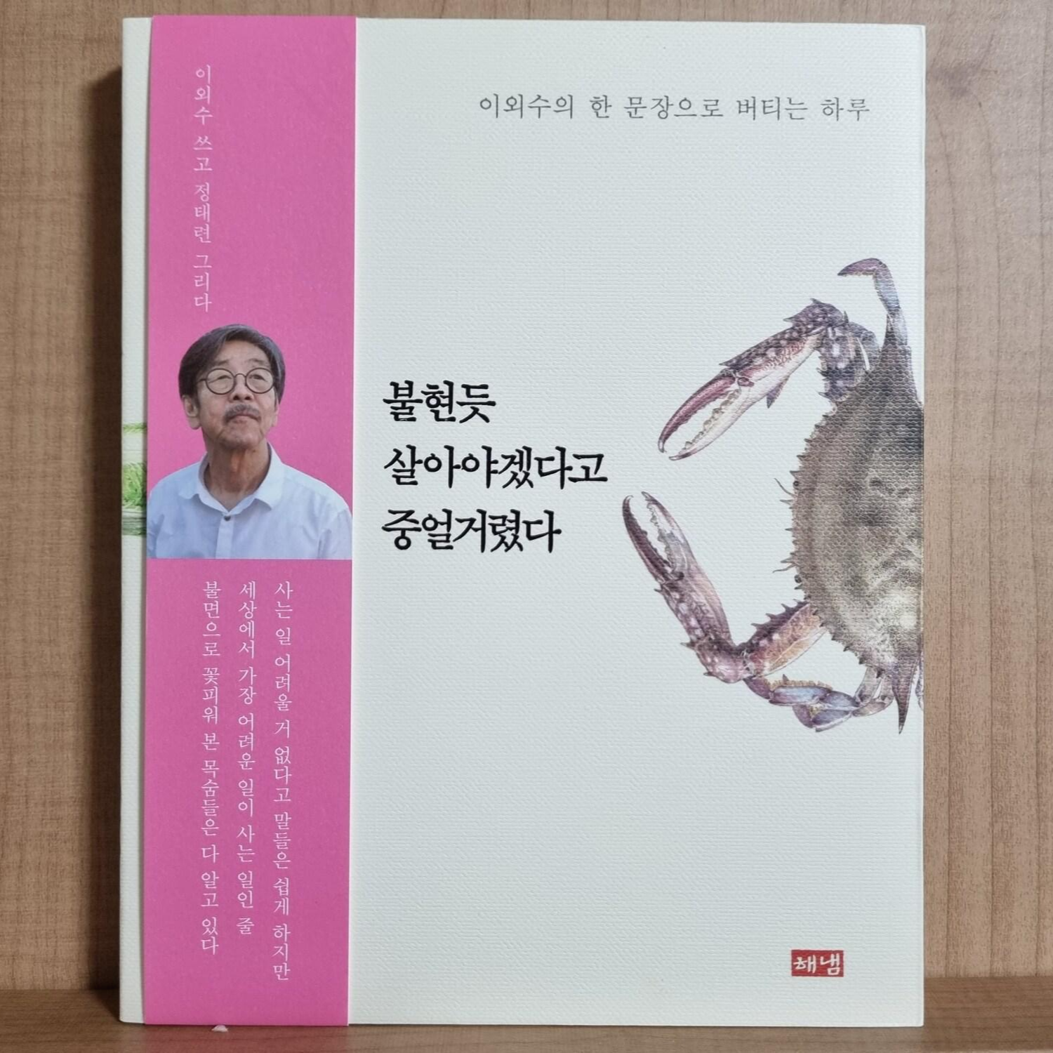  이외수 - 불현듯 살아야겠다고 중얼거렸다