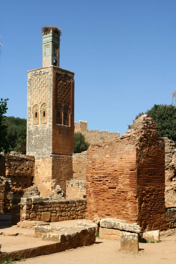 Chellah-Mosque
