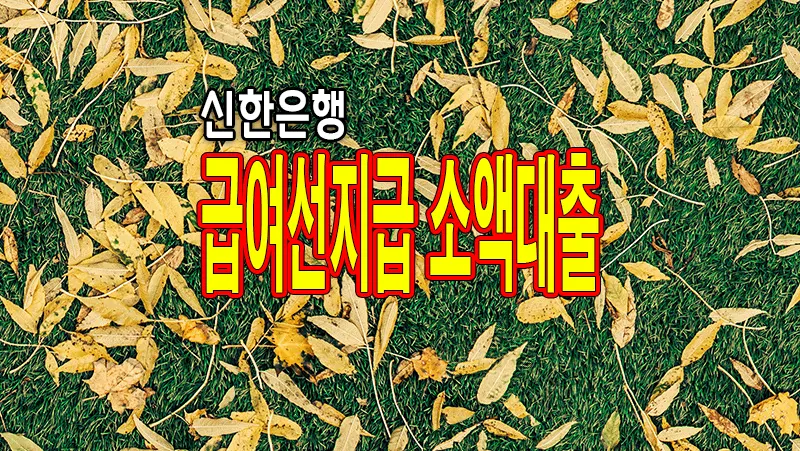 신한은행 급여선지급 소액대출