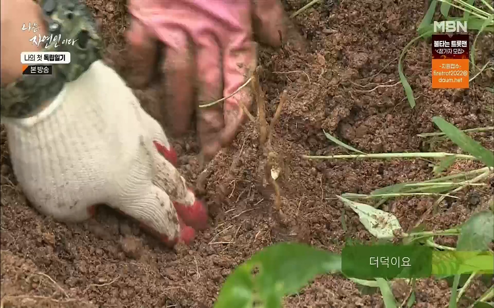 나는 자연인이다.E511.220720p.H264-F1RST.mp4_20220721_201118.114.jpg