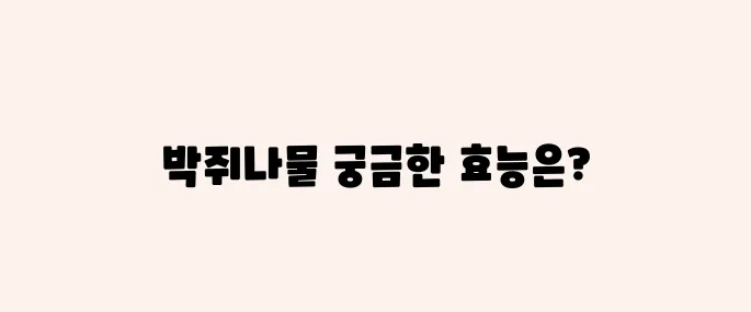 박쥐나물 효능, 부작용 및 먹는법