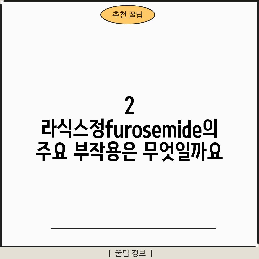 2. 라식스정(furosemide)의 주요 부작용은 무엇일까요?