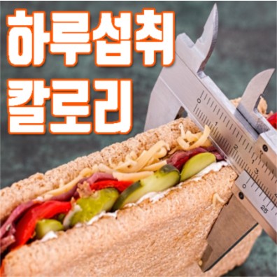 다이어트 할때 꼭 지켜야할 3가지!!