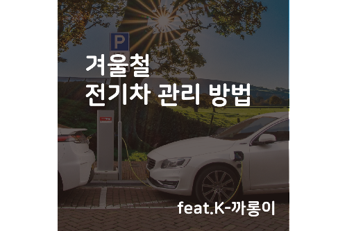 겨울철 전기 차 관리 방법 (feat.K-까롱이)