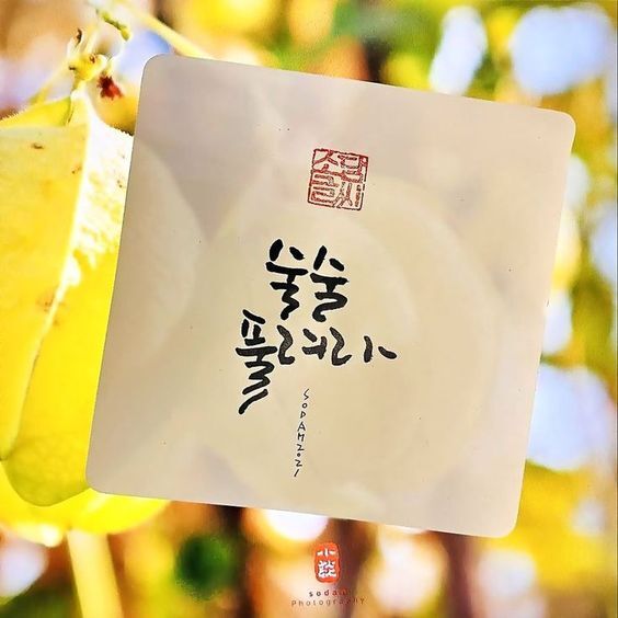  코로나 격리끝나고 생활지원금 신청 필요한 것