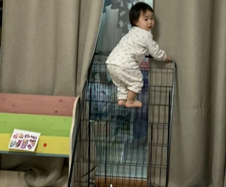  엄마아빠는 날 어떻게 키웠어...?