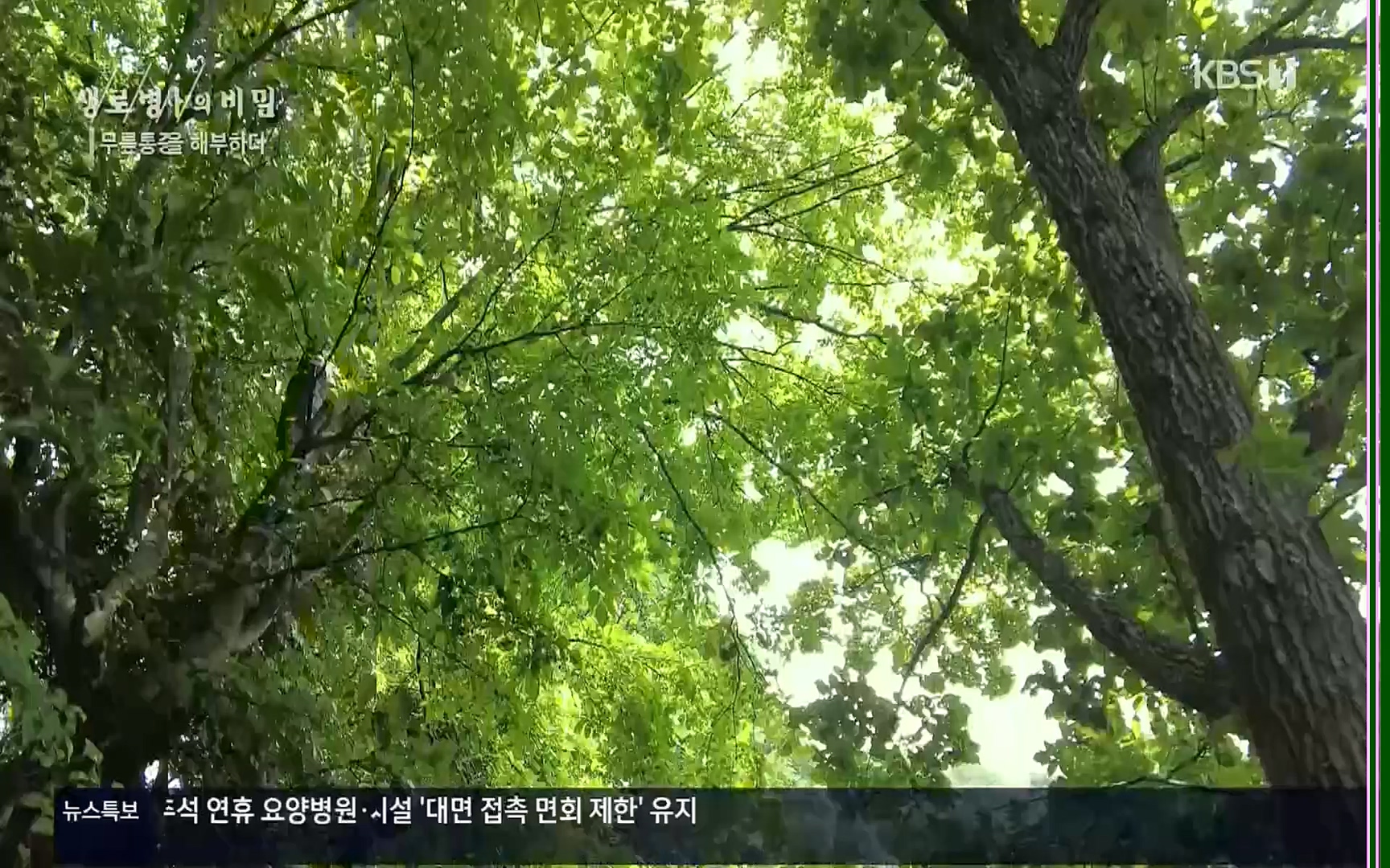 생로병사의 비밀.E834.220907p.H264-F1RST.mp4_20220908_210413.793.jpg