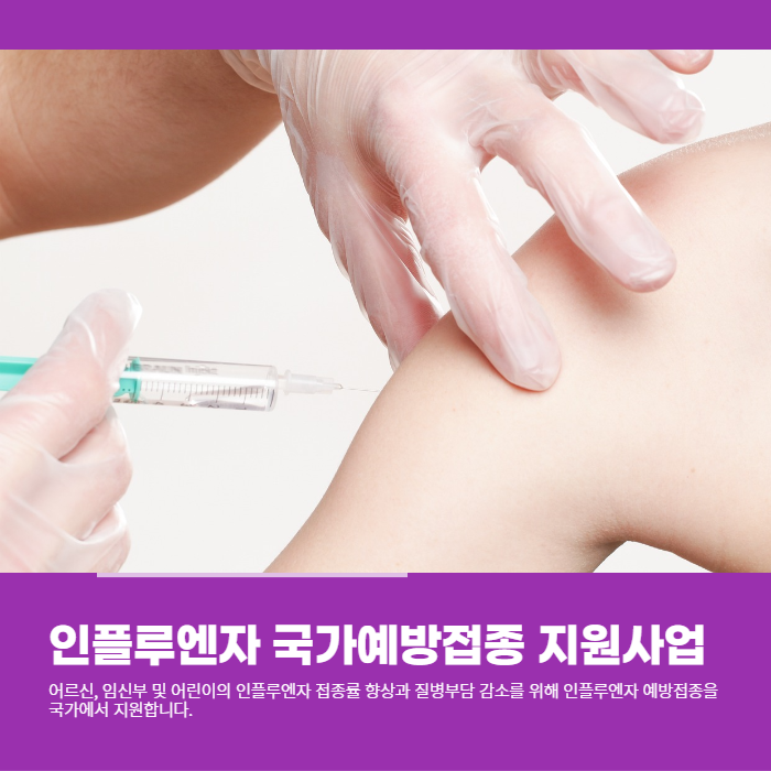  국가에서 지원하는 인플루엔자 국가예방접종 지원사업