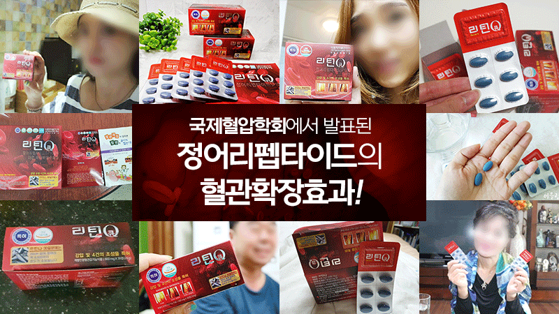 고혈압_관리_건강_영양제