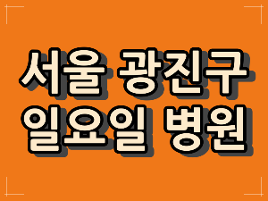 광진구 일요일 병원과 일요일 진료시간.