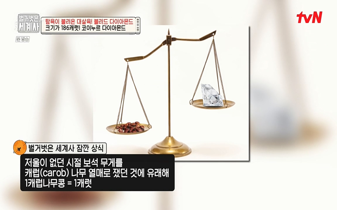 벌거벗은 세계사.E62.220831p-NEXT.mp4_20220905_195805.014.jpg