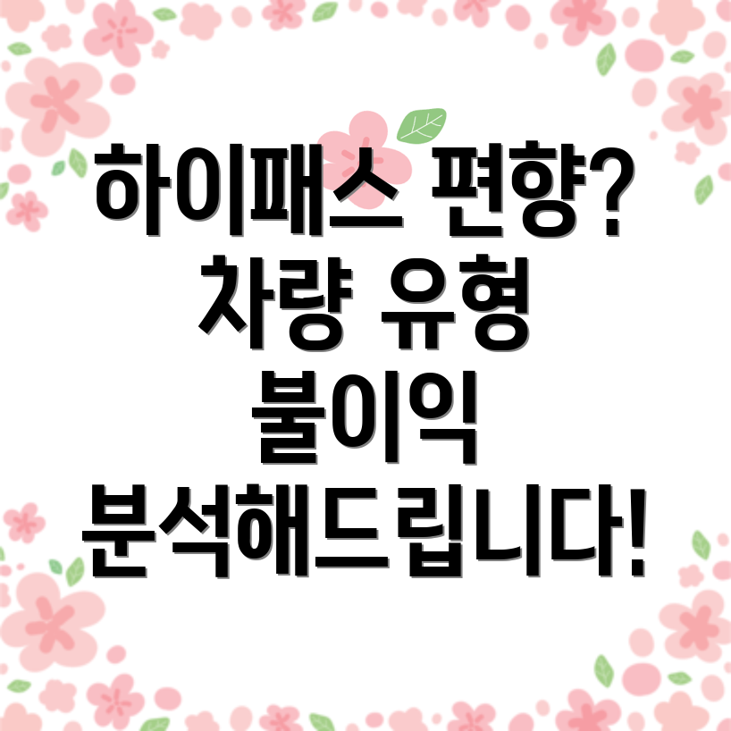 하이패스의 편향성