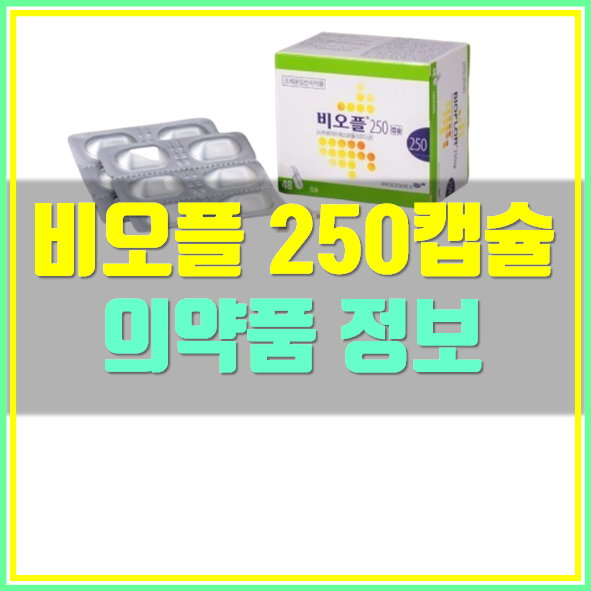  비오플 250 캡슐 효능 복용법