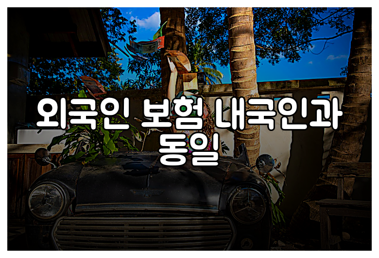 외국인 보험 내국인과 동일