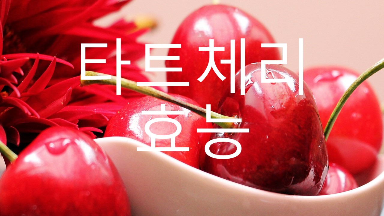  타트체리 효능
