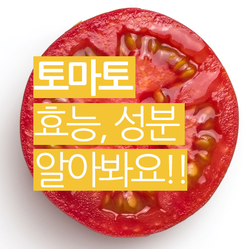  토마토의 효능과 성분을 알아봐요!!
