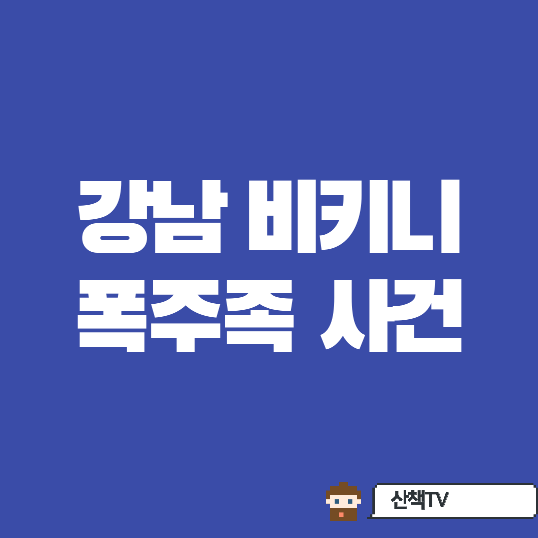 강남 비키니 폭주족사건, 알고보니 유튜브 홍보?